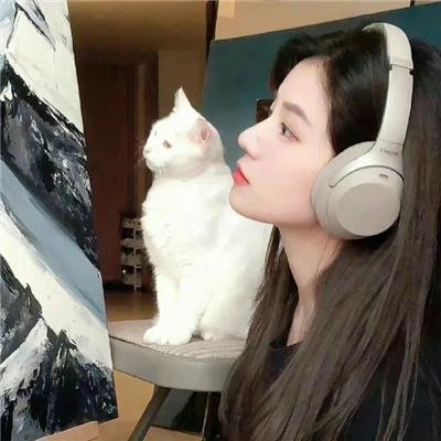 怪兽有问题